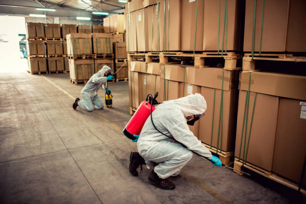 Best Ant Control Services  in New Haven, CT
