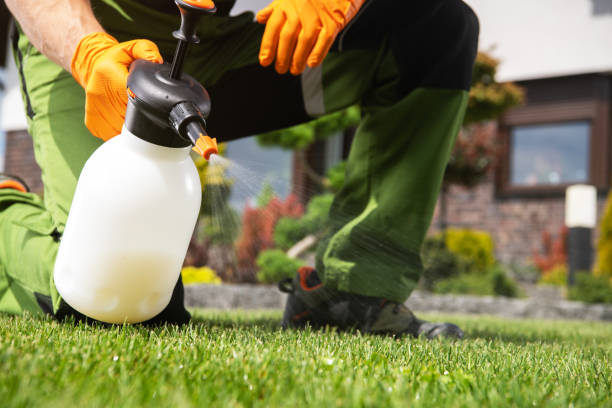 Best Commercial Pest Control Services  in New Haven, CT