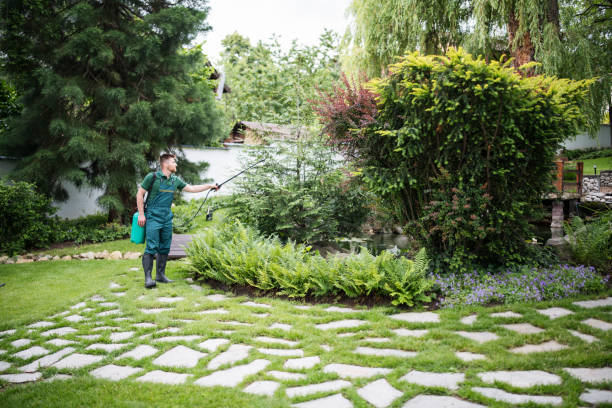Best Best Pest Control Companies  in New Haven, CT
