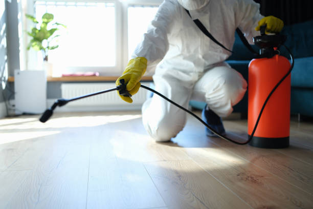 Wildlife Control Services in New Haven, CT