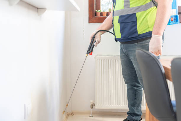 Best Local Pest Control Services  in New Haven, CT