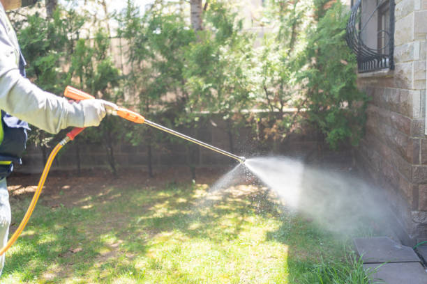 Best Emergency Pest Control  in New Haven, CT