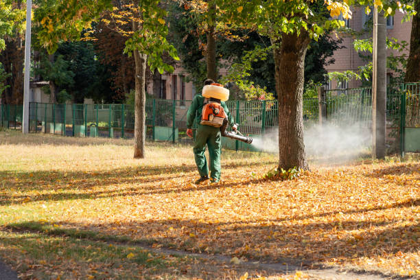 Pest Prevention Services in New Haven, CT