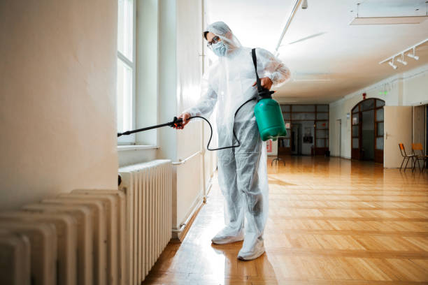 Best Best Pest Control Companies  in New Haven, CT