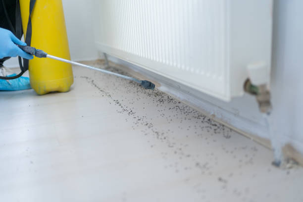 Best Pest Prevention Services  in New Haven, CT