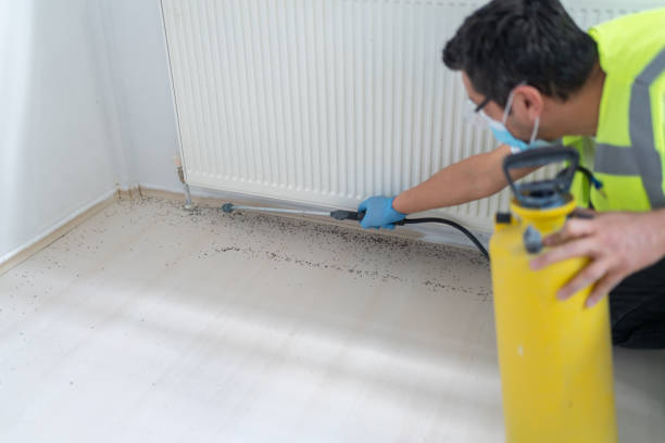 Best Residential Pest Control  in New Haven, CT
